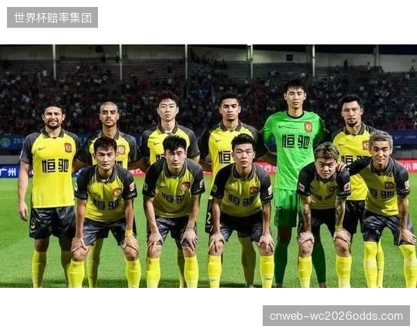 以队长马修·瑞安为首的核心球员阵容结构合理，兼具经验与活力，为球队提供了应对不同局面的可能性。